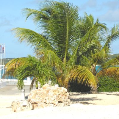 AIYC yacht at anchor seen from the beach